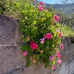 En La Montana Σπίτι διακοπών Nava