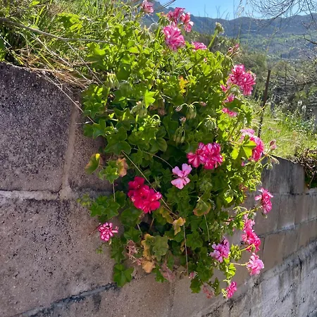 En La Montana Holiday home Nava