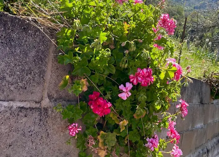 En La Montana Ferienhaus Nava
